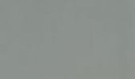 4c gris sable